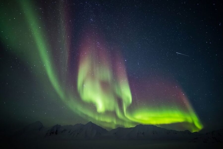 Iceland: South Coast and Northern Lights Tour - Vík village: where the south coast becomes a lived-in place