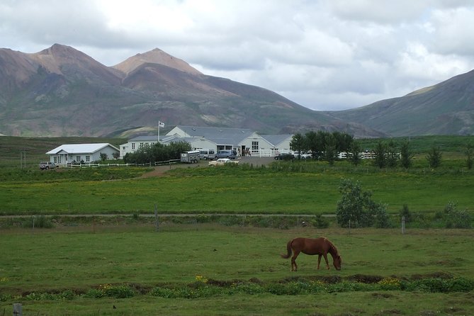 Icelandic Horseback Riding Tour Including Pick Up from Reykjavik - Reykjavik pickup and the 15-minute drive that sets your tone