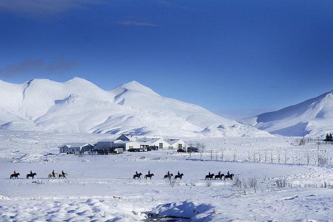 Icelandic Horseback Riding Tour Including Pick Up from Reykjavik - Your 3.5-hour ride plan: what happens from pickup to hot cocoa