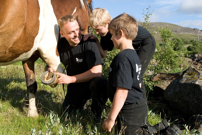 Icelandic Horseback Riding Tour Including Pick Up from Reykjavik - Price and value: what $152.37 buys you in real terms