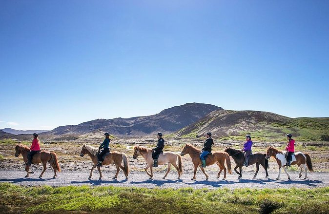 Icelandic Horseback Riding Tour with Pickup Option from Reykjavik - Icelandic horses and the tölt gait in about two hours