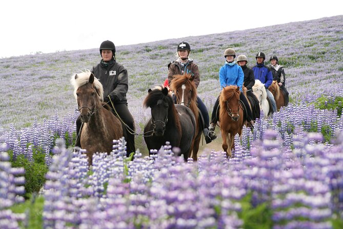 Icelandic Horseback Riding Tour with Pickup Option from Reykjavik - The included coffee moment: warm drinks, real payoff