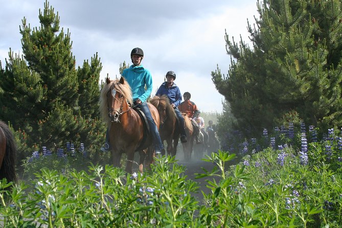 Icelandic Horseback Riding Tour with Pickup Option from Reykjavik - Wind, rain, and the small details that make a big difference