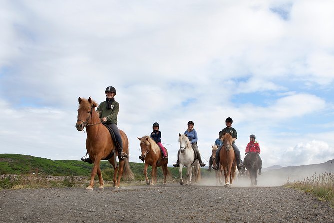 Icelandic Horseback Riding Tour with Pickup Option from Reykjavik - What happens at the stables: gear, video, and group matching