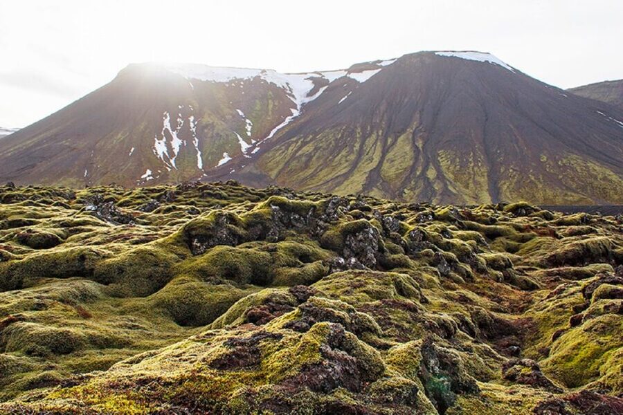 Leidarendi Cave: Lava Tunnel Caving from Reykjavik - Price and value: is $104 for 3 hours fair?