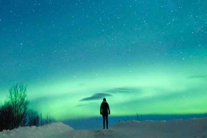 Northern Lights Bus Tour from Reykjavik with Hot Chocolate - Pickup, Timing, and the One Thing to Watch Closely