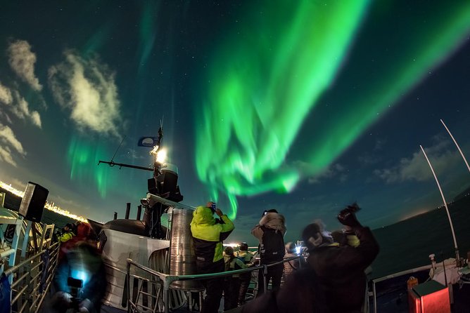 Northern Lights Cruise from Reykjavik Including Photos - Faxafloi Bay at night, why this boat beats standing in Reykjavik