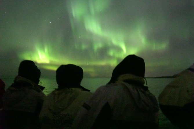 Northern Lights Cruise from Reykjavik Including Photos - How they improve your odds, free reattempt when the sky misses you