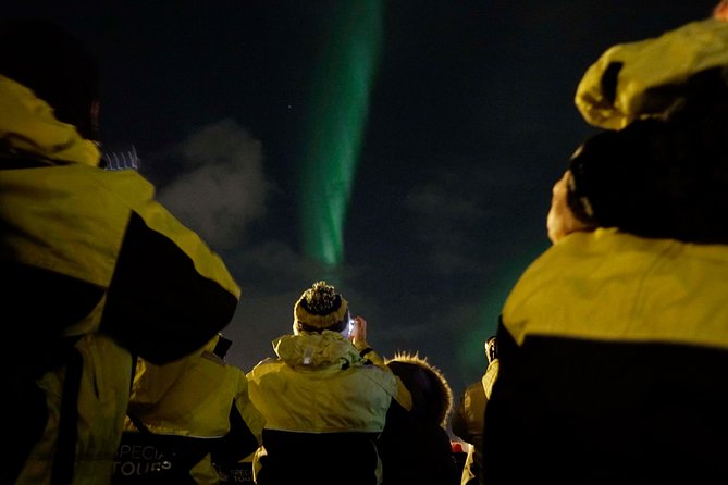 Northern Lights Cruise from Reykjavik Including Photos - The 2.5 hour flow, what actually happens on the water