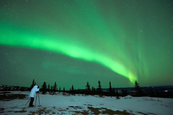 Northern Lights Tour from Reykjavik with Lifetime Guarantee - Key Things I’d Pay Attention To
