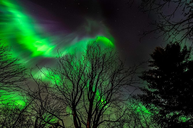 Northern Lights Tour from Reykjavik with Lifetime Guarantee - Reykjavik Terminal Start: Pickup, Timing, and Your First 15 Minutes