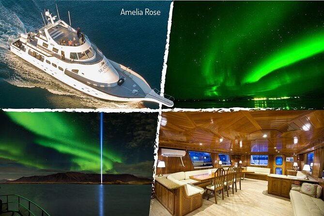 Northern Lights Yacht Cruise in Reykjavik - The Northern Lights hunt: comfort, deck time, and what your photos can realistically do