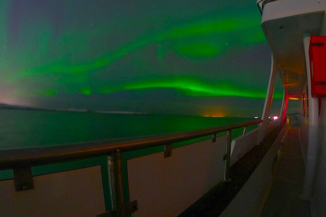 Northern Lights Yacht Cruise in Reykjavik - Sailing Faxaflói Bay: coastline views plus real wildlife odds
