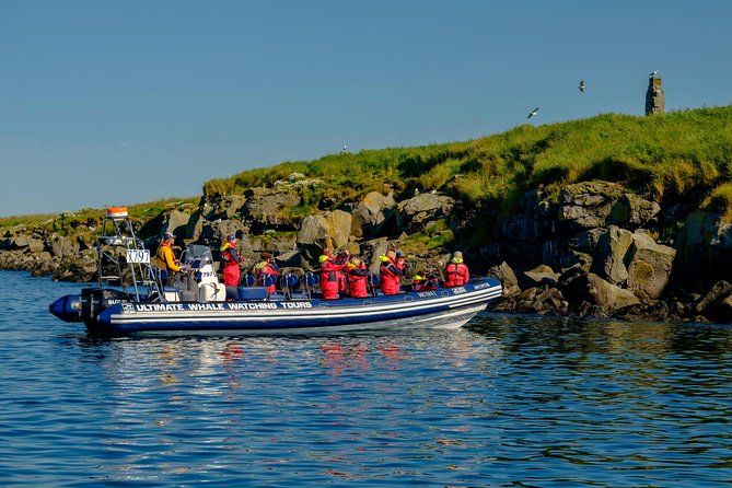 Premium Small-Group Puffin & Bird Watching tour from Reykjavík - Guides and crew style: why the experience often feels smooth
