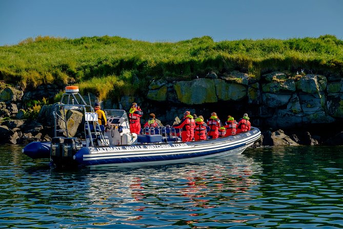 Premium Small-Group Puffin & Bird Watching tour from Reykjavík - Should you book the Reykjavík puffin tour?