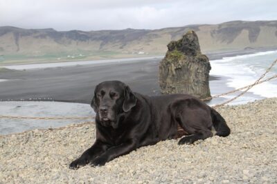Private Day Trip to the Icelandic South Coast from Reykjavik