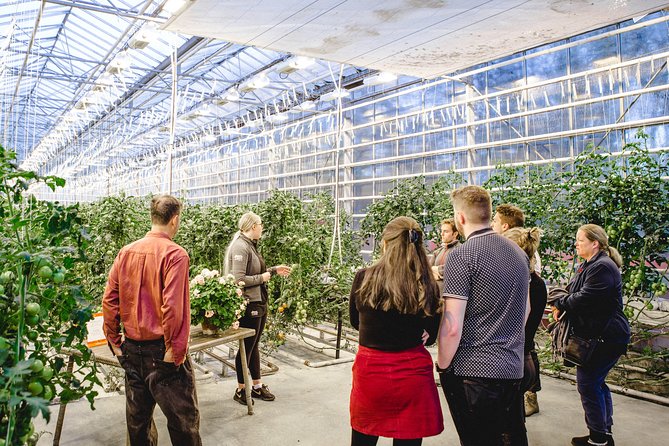 Private Golden Circle, Sky Lagoon and Friðheimar Greenhouse Lunch - Pickup in Reykjavik: less stress, more daylight used