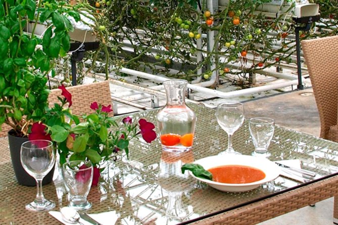 Private Golden Circle, Sky Lagoon and Friðheimar Greenhouse Lunch - Price: what you are really paying for at $3,215 per group