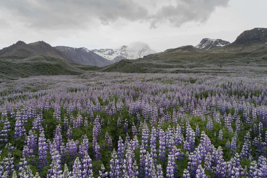Private Tour to Landmannalaugar. Explore the Highlands - Key things I’d lock in before you go