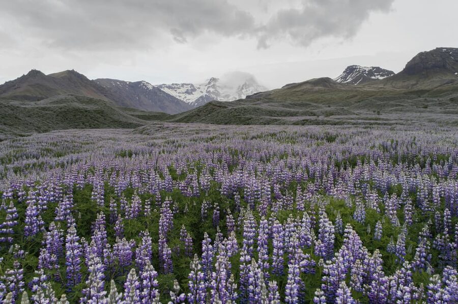 Private Tour to Landmannalaugar. Explore the Highlands - Who This Tour Fits Best, and Who Might Want a Different Plan