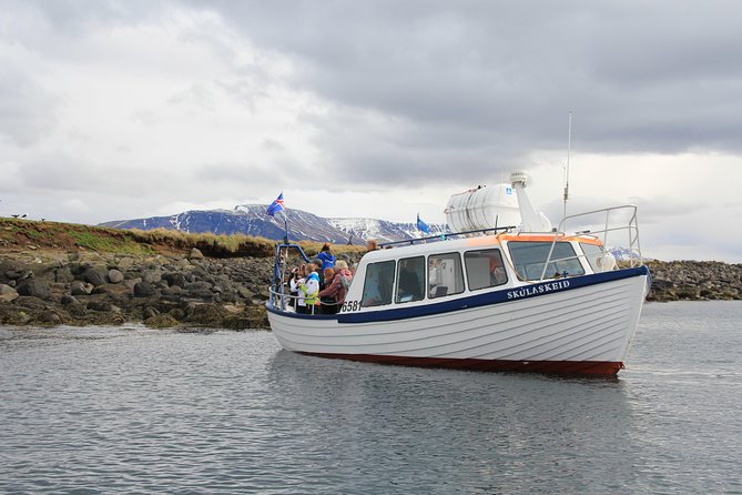Puffin Cruise with Expert Tour Guide from Reykjavik - Getting to Geirsgata 11 and Picking the Right Departure Time