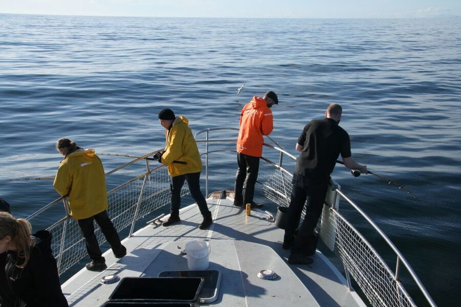 Reykjavik: 3-Hour Sea Angling Gourmet Experience Tour - Setting Out From Reykjavik, with Hlésgata Harbour as Your Start Line