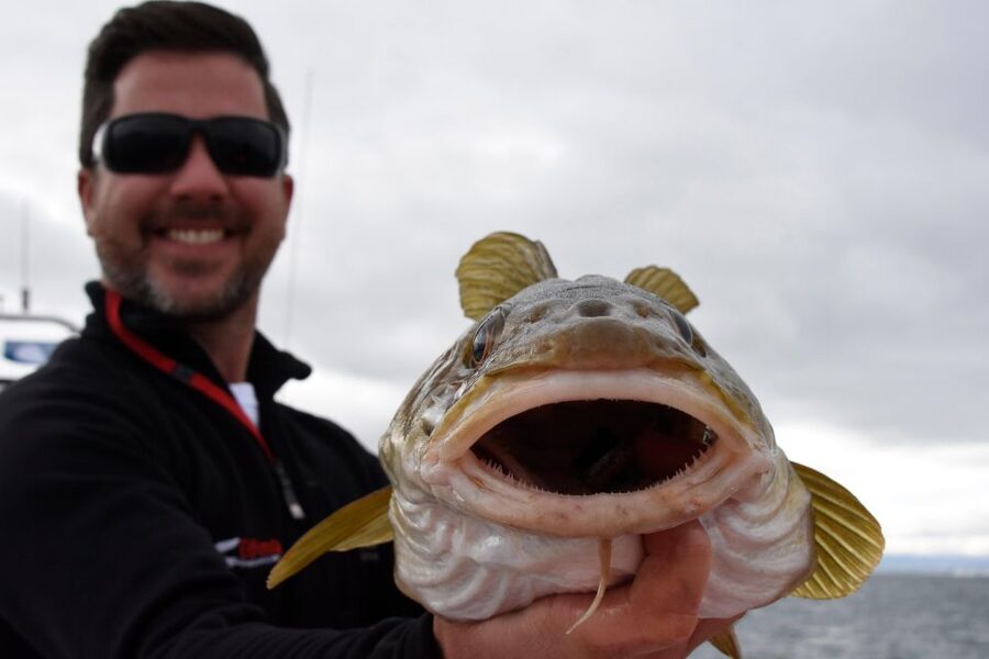 Reykjavik: 3-Hour Sea Angling Gourmet Experience Tour - Wildlife on the Route, When Faxaflói Becomes More Than a Fishing Trip