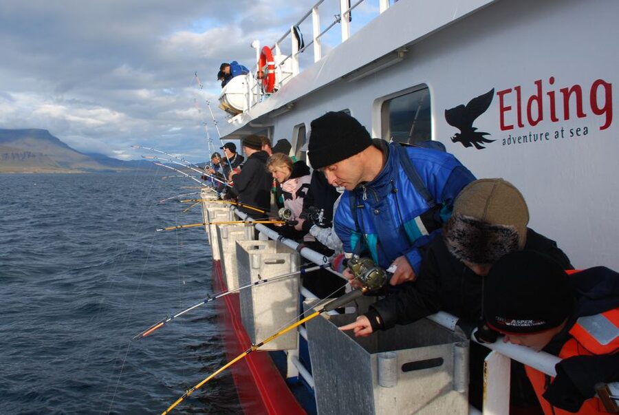 Reykjavik: 3-Hour Sea Angling Gourmet Experience Tour - What to Wear and Bring, So the Weather Doesn’t Steal Your Fun