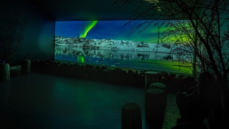Reykjavik: Aurora Reykjavik The Northern Lights Center Entry - Key things you will notice right away