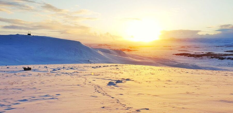 Reykjavik: Buggy Safari Tour with Hotel Transfers - How the Timing Works, and Why It Matters