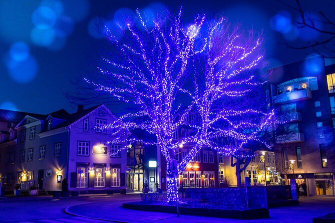 Reykjavik Christmas Walking Tour - Laugavegur and Litla Jólabúðin: shopping time with a themed purpose