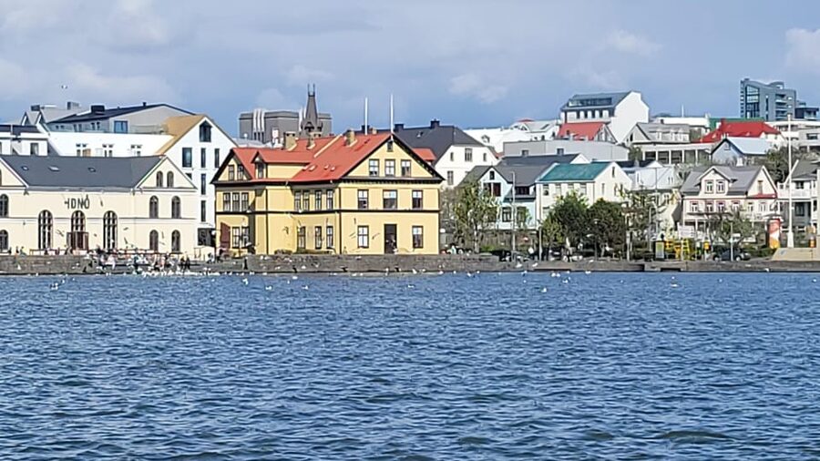 Reykjavik City Private Tour: Perlan, Arbaer & City Landmarks - Perlan: Panoramas, Natural Wonders, and the Ice Cave Experience