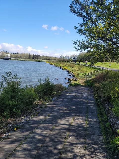 Reykjavik City Private Tour: Perlan, Arbaer & City Landmarks - Practical Tips: Shoes, Weather, and Getting Good Photos