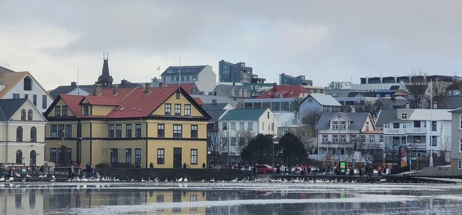 Reykjavik City Private Tour: Perlan, Arbaer & City Landmarks - First Stop: Hallgrímskirkja and the Observation Tower Area