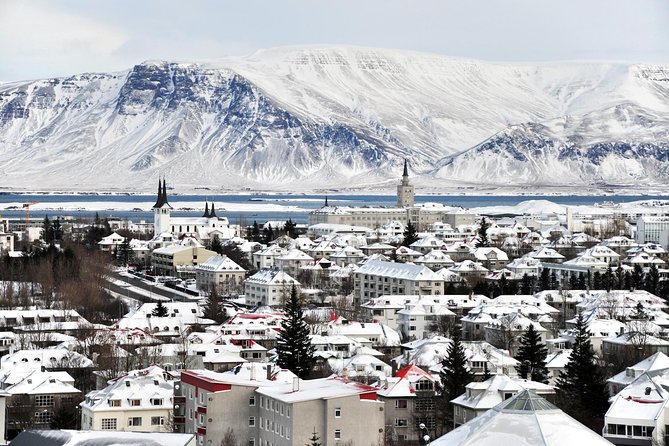 Reykjavik City Walking Tour - Tjörnin Pond, Geese and Swans, and the City at Eye Level
