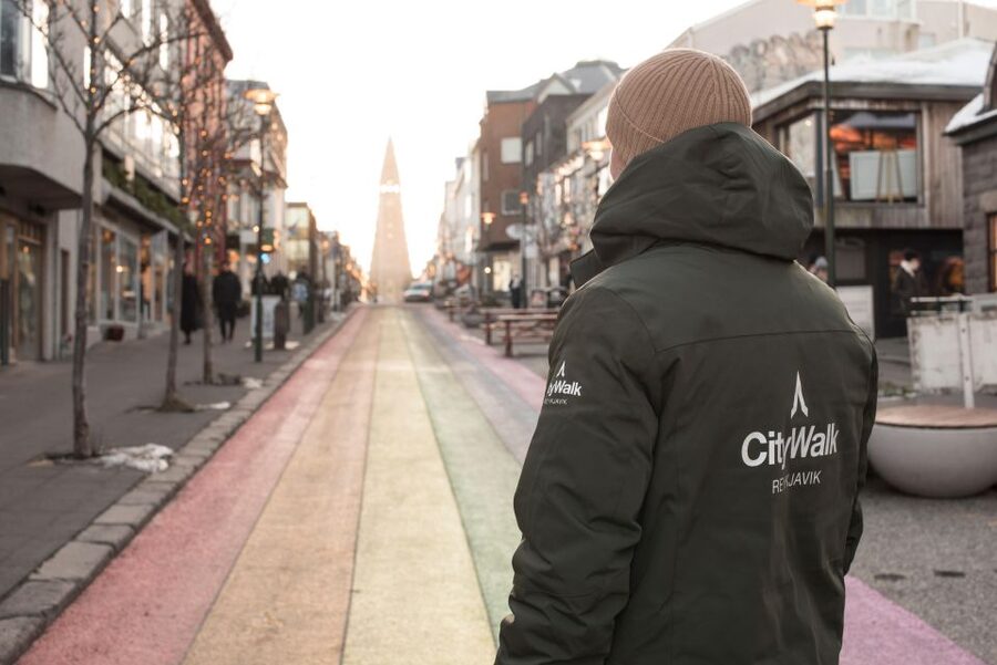 Reykjavik: City Walking tour in Small Group with Local Guide - Key highlights that make this walk worth your time