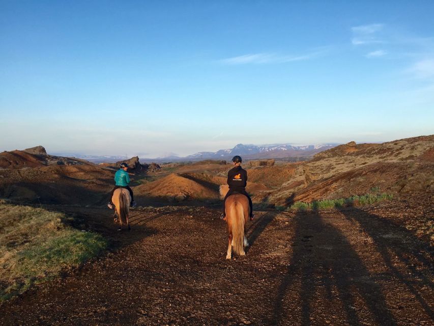 Reykjavik: Evening Sleipnir Horse Riding Tour with Pickup - Key things to know before you ride