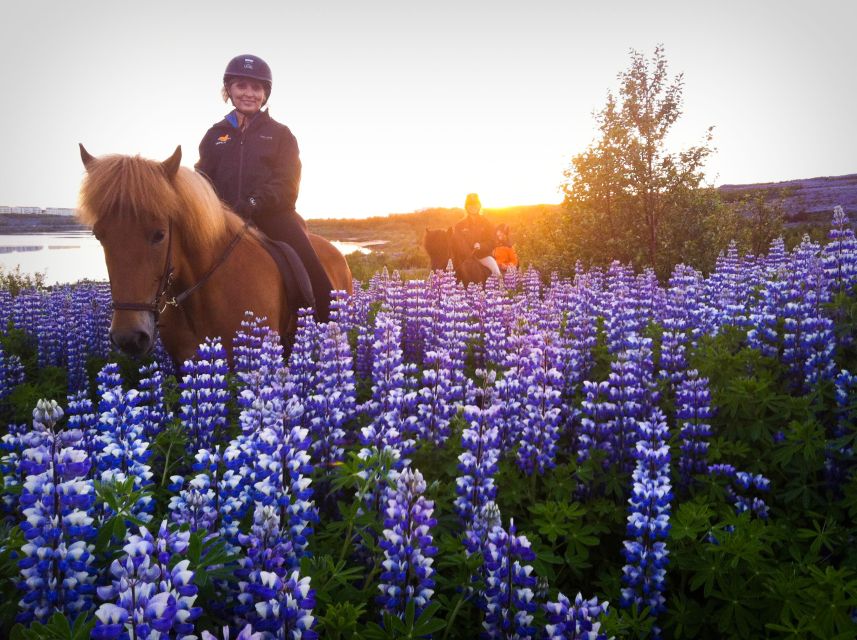Reykjavik: Evening Sleipnir Horse Riding Tour with Pickup - Evening Light Over Hólmsheiði and Rauðhólar