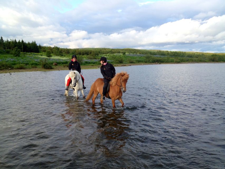 Reykjavik: Evening Sleipnir Horse Riding Tour with Pickup - Hólmsheiði Green Hills and Stallion Valley Trails