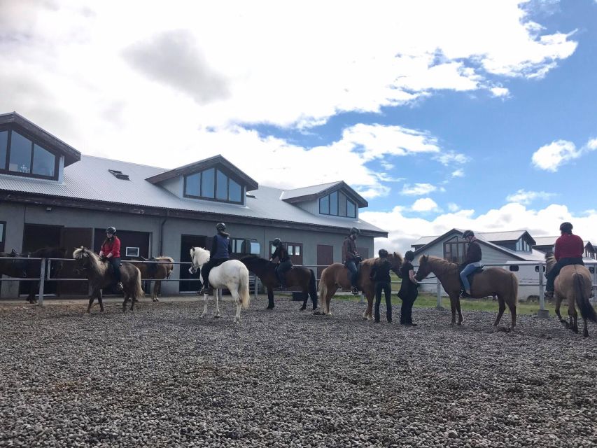 Reykjavik: Evening Sleipnir Horse Riding Tour with Pickup - Price and Value: Why $202 Can Be Worth It