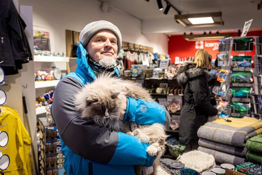 Reykjavik: Feline-Focused City Walking Tour - Key things to know before you go