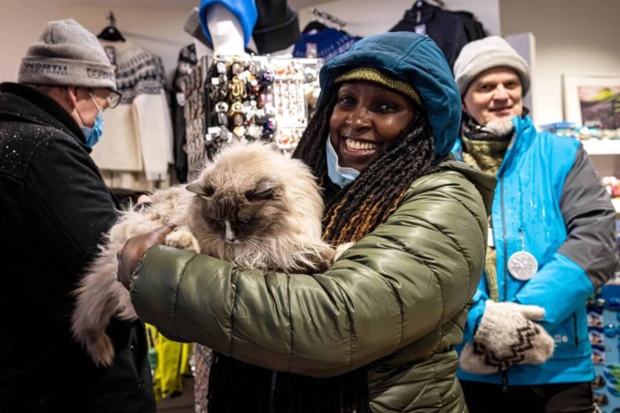 Reykjavik: Feline-Focused City Walking Tour - What You Actually Get for $74 in Reykjavik