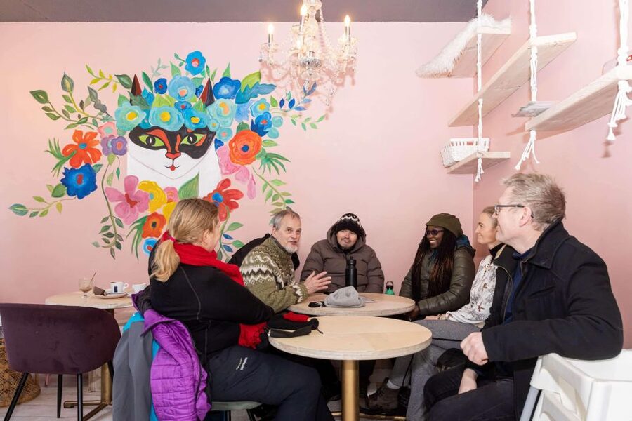 Reykjavik: Feline-Focused City Walking Tour - Kattakaffihúsið: Coffee, Hot Cocoa, Pastry, and Petting Time