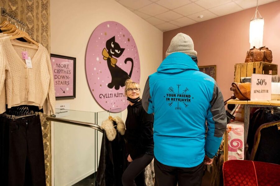 Reykjavik: Feline-Focused City Walking Tour - The Famous Reykjavik Cats You Might Spot, Like Baktus, Jonsi, and Ofelia