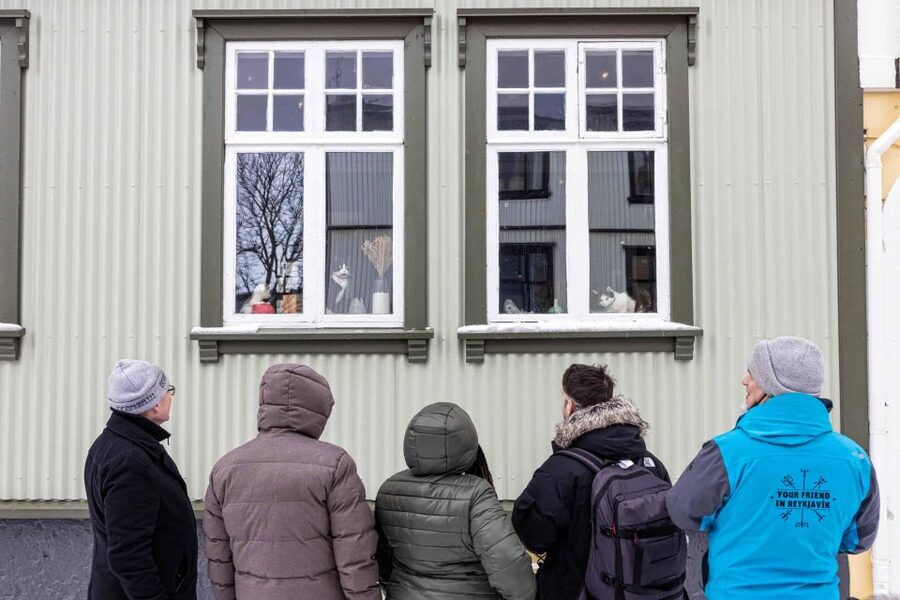 Reykjavik: Feline-Focused City Walking Tour - Guide Names You’ll Hear, and Why Their Style Matters