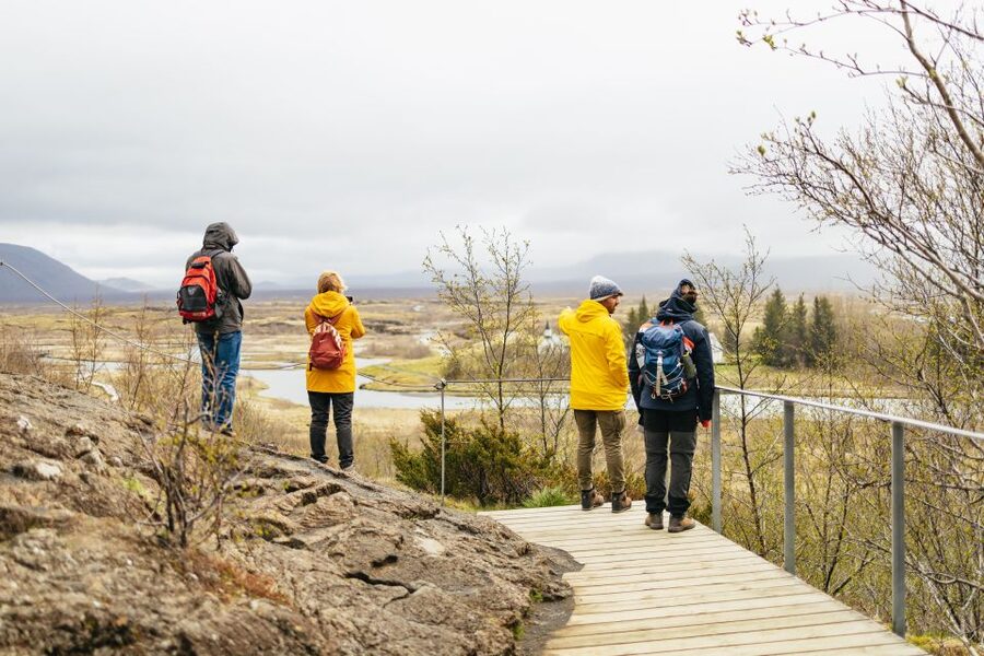 Reykjavik: Golden Circle, Crater & Blue Lagoon Minibus Tour - Is the $252 Price Tag Fair for This Tour?