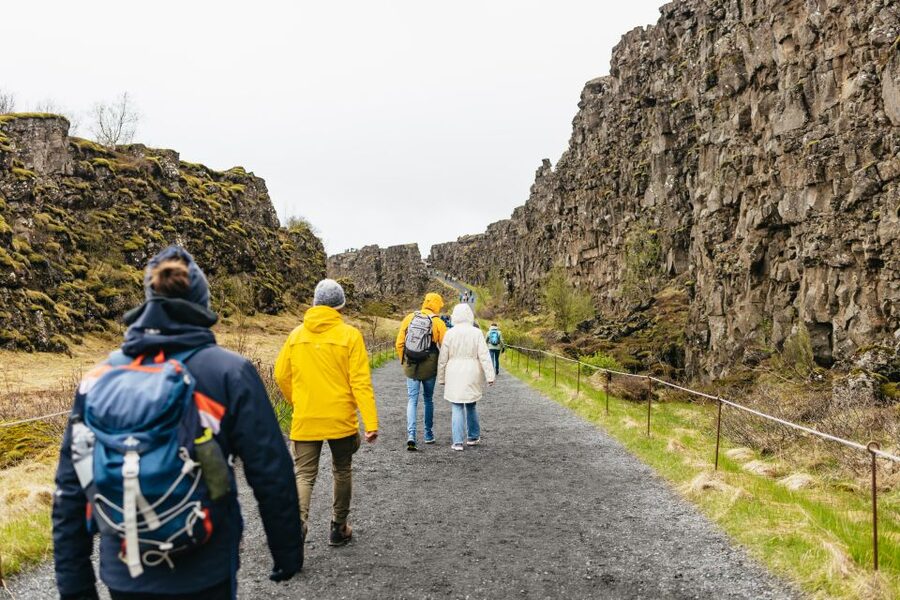 Reykjavik: Golden Circle, Crater & Blue Lagoon Minibus Tour - Bus Comfort, Stops, and Winter Reality Checks