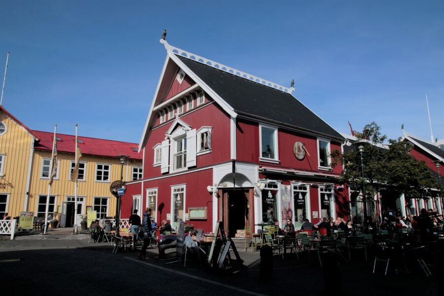 Reykjavik: Guided City Walking Tour - Why this 4 km walk makes Reykjavik click