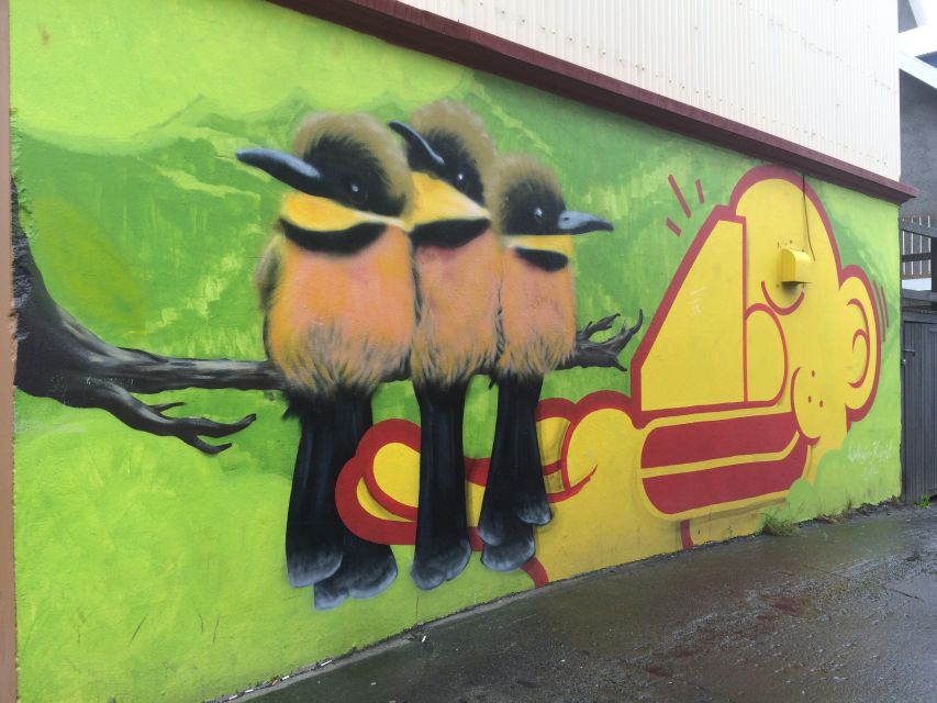 Reykjavik: Guided City Walking Tour - Laugavegur and Austurvöllur: the city’s main streets, with meaning