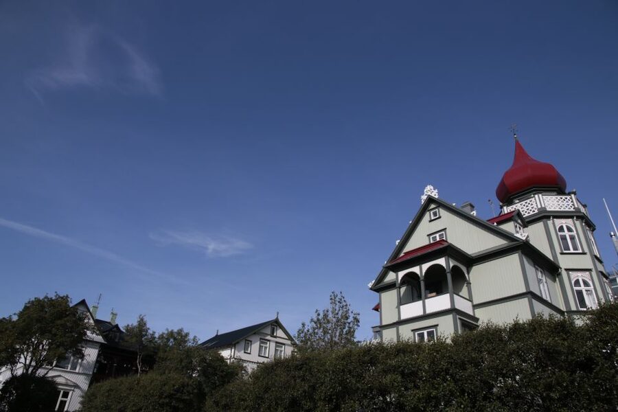 Reykjavik: Guided City Walking Tour - Parliament, City Hall, and the Pond pause at Lake Tjörnin
